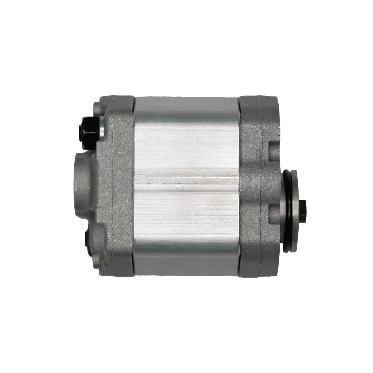 Насос шестеренчатый (чугун)  0301005 CBD1-F2-4.2L4Z-CC